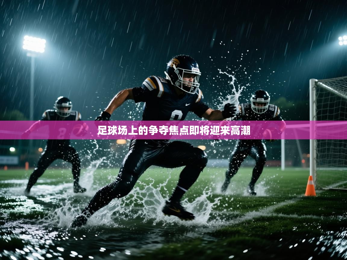 足球场上的争夺焦点即将迎来高潮  第1张