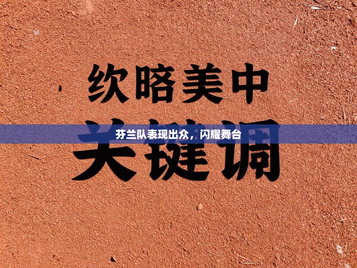 芬兰队表现出众，闪耀舞台  第2张